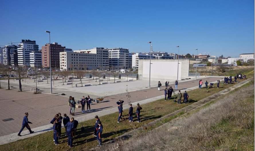 Alumnado del Liceo Monjardín renaturalizaron una parcela municipal junto al campo de fútbol