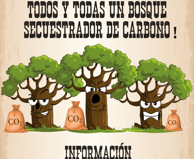 Dos jornadas de voluntariado los días 16 y 23 de noviembre para reponer árboles en el Bosque Olímpico de la ladera que une Mendillorri y Lezkairu